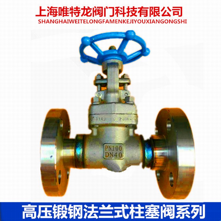 焊接柱塞阀系列