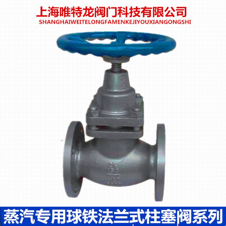 柱塞阀球铁系列