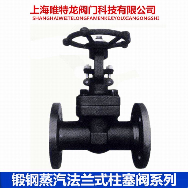 锻钢法兰柱塞阀系列