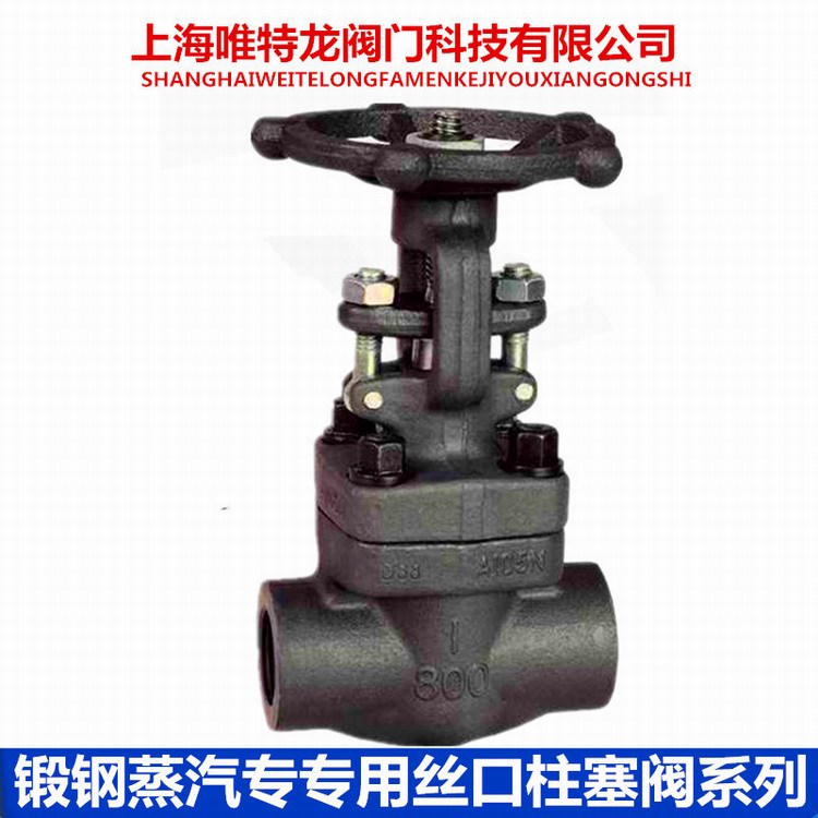 锻钢丝口柱塞阀系列