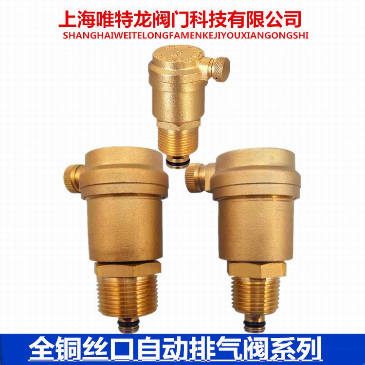 全铜自动排气阀